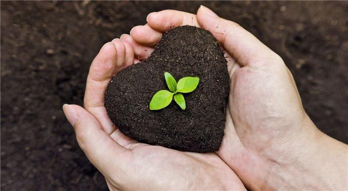 هیومیک اسید