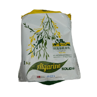 جلبک آلگارین سالید کا پلاس جلبک دریایی 1 کیلویی نروژفرمولایف