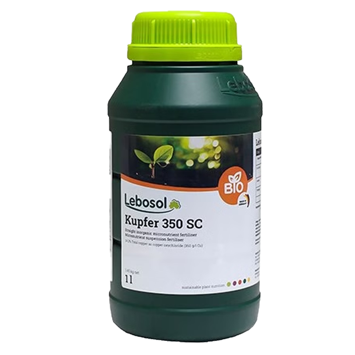 لبوسل-کاپفر