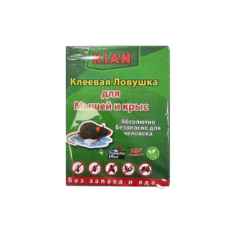 چسب موش کتابی