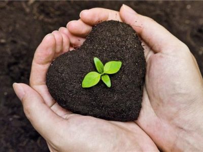 هیومیک اسید